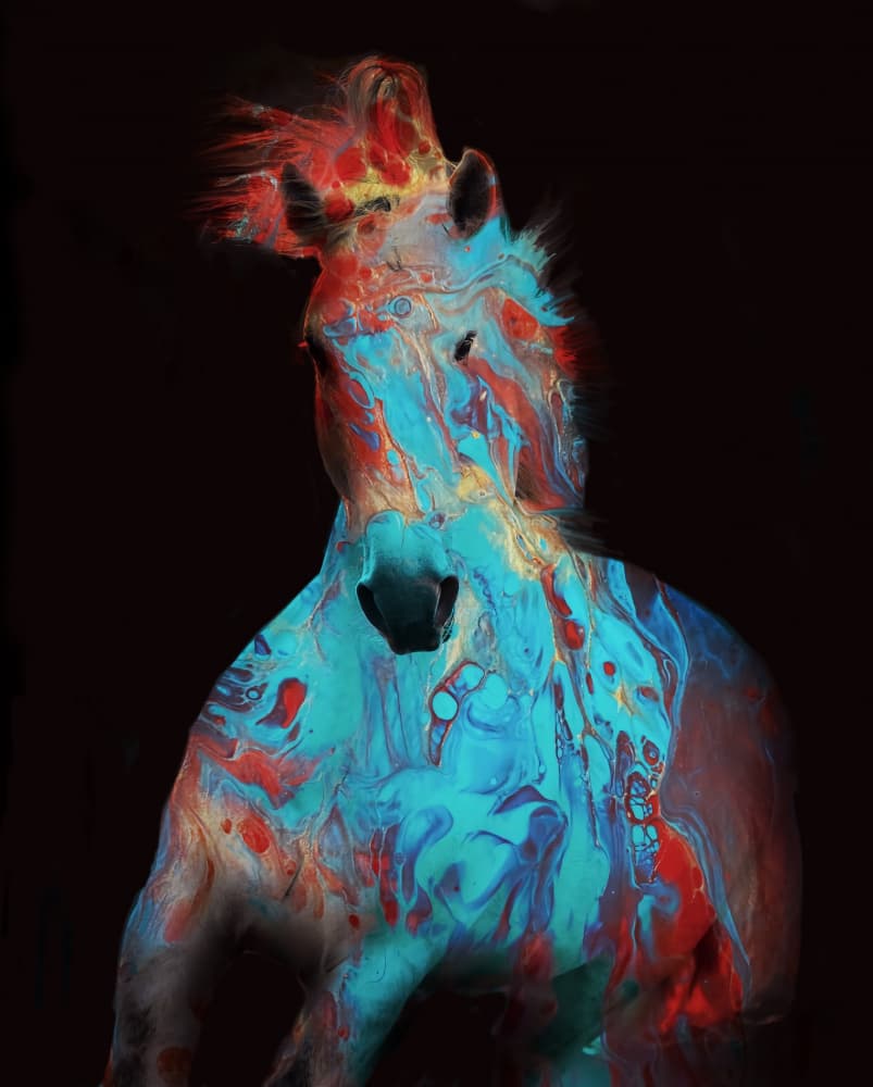 Vibrant Fluid Horse by Ruth Day — canvas wall art