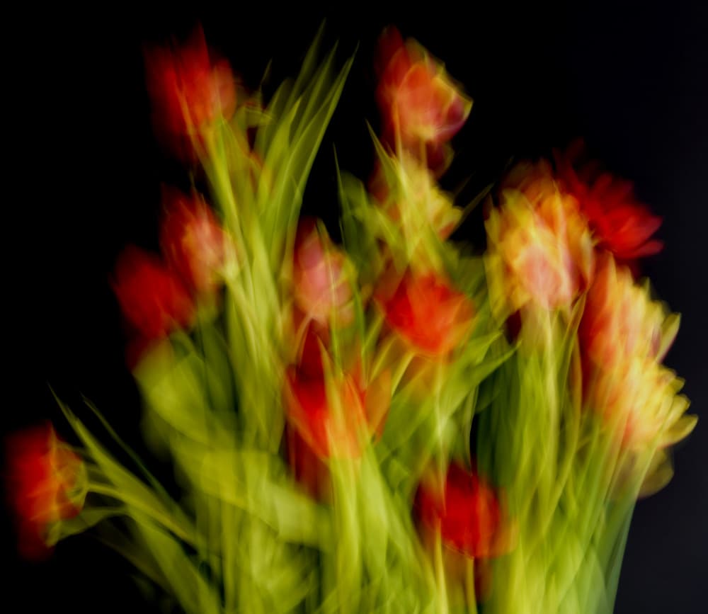 Soft Impressionist Flowers by Bilge Paksoylu — canvas wall art