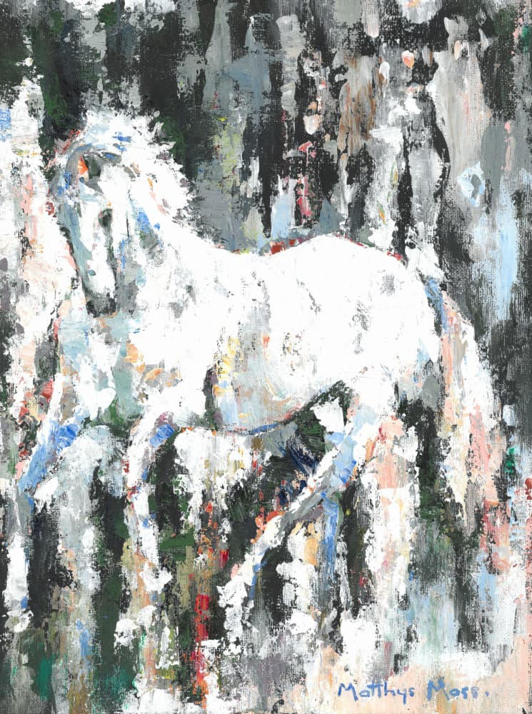Spirited White Horse by Matthys Moss — canvas wall art