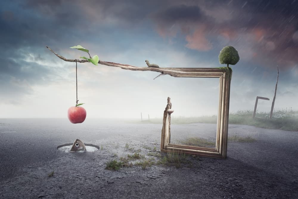 Surreal Apple Frame by Peter Cakovsky — canvas wall art