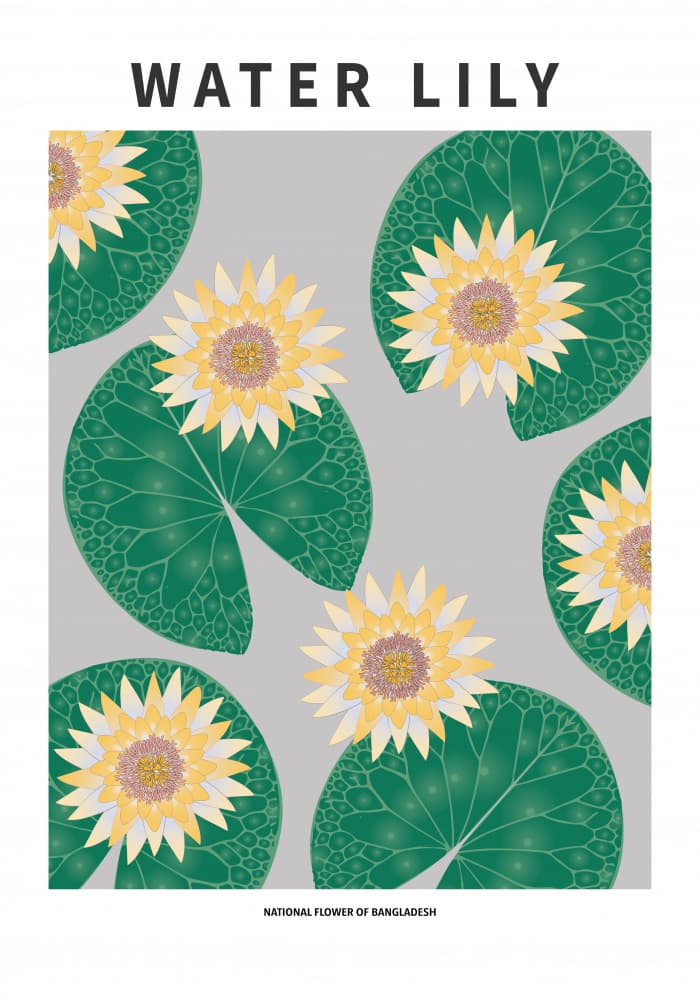 Water Lilies And Pads by Paperago — canvas wall art