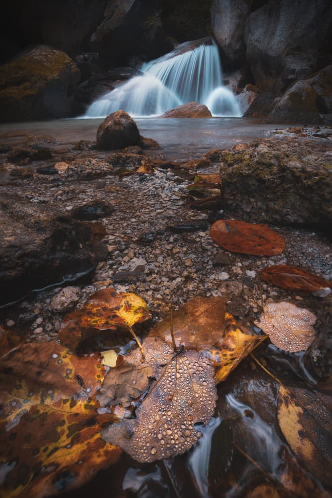 Waterfall and Autumn Leaves by Masaki Sugita — canvas wall art