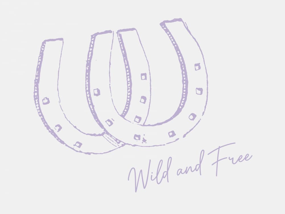 Lucky Wild Horseshoes by Jolly and Dash — canvas wall art