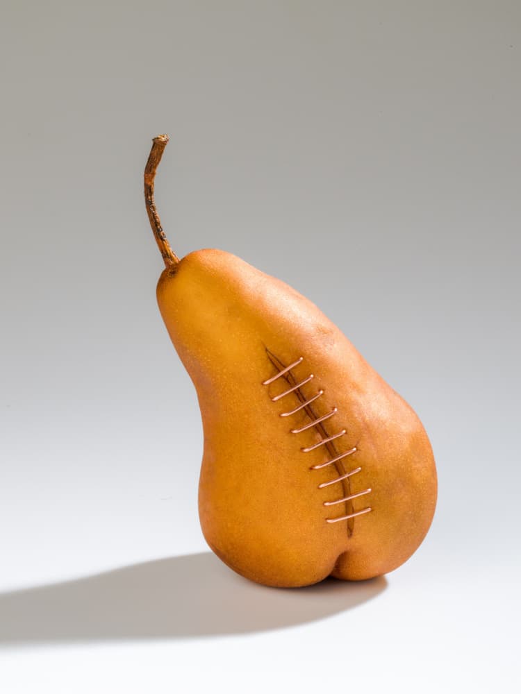Stitched Pear Healing by Allan Li wp — canvas wall art