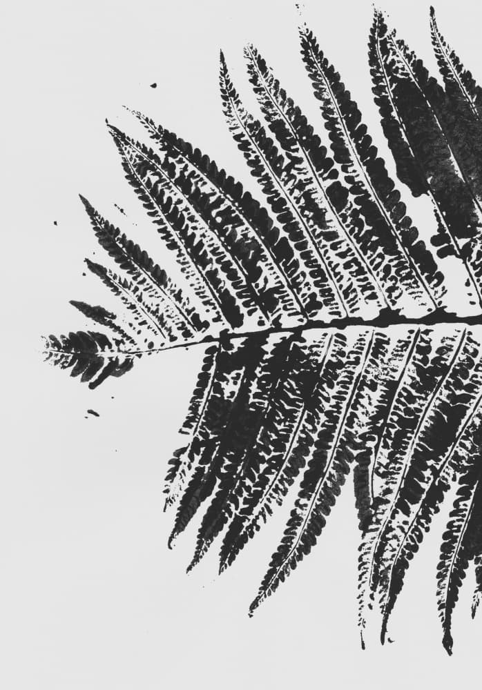 Botanical Fern Silhouette by Maira Ribena — canvas wall art