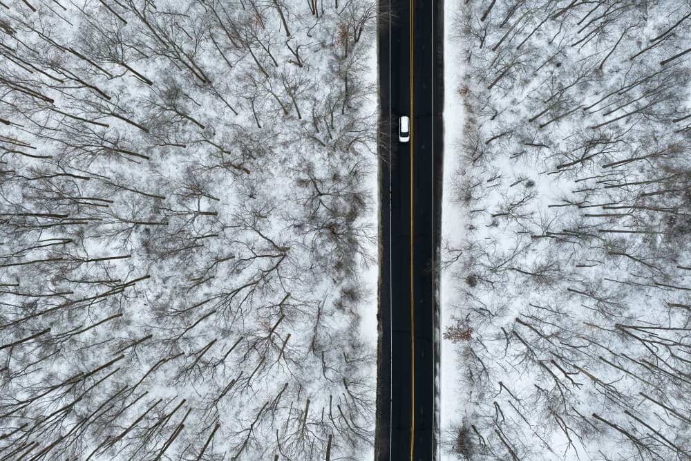 Snowy Forest Road by John Fan — canvas wall art