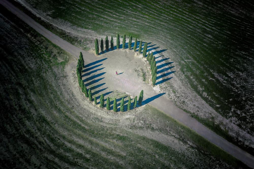 Cypress Circle Solitude by John-Mei Zhong — canvas wall art