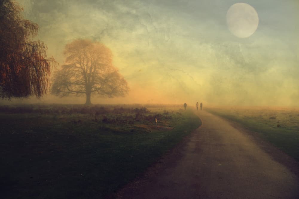 Moonlit Misty Journey by Robert Fabrowski — canvas wall art