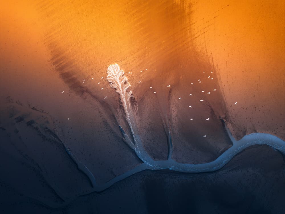 Golden Tidal Feather by NingYun Ye — canvas wall art