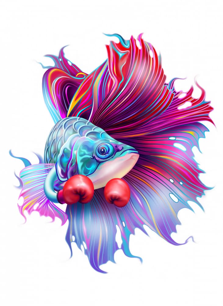 Betta Fish Boxer by Adam Lawless — canvas wall art