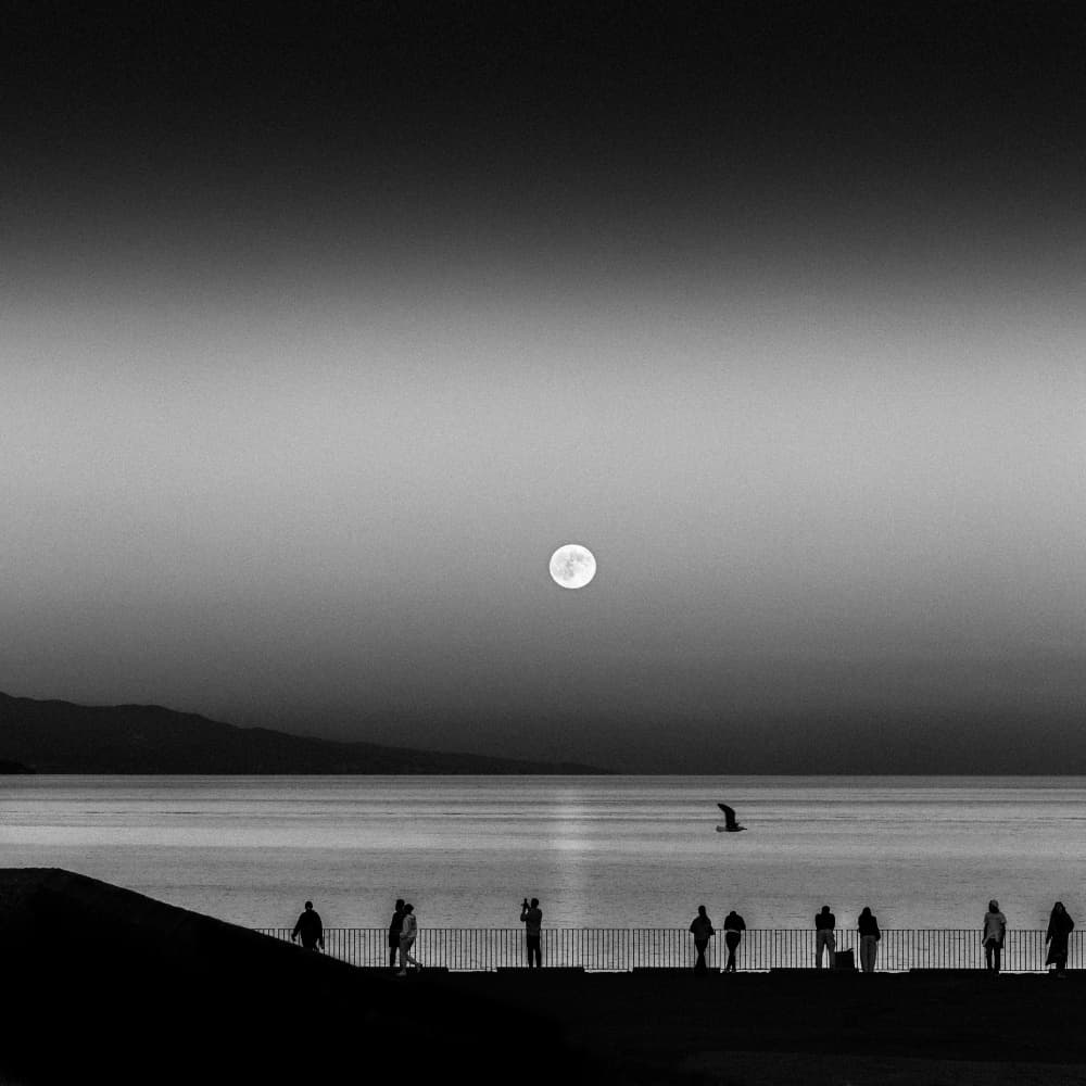 Moonlit Coast Silhouettes by Angelika Vogel — canvas wall art