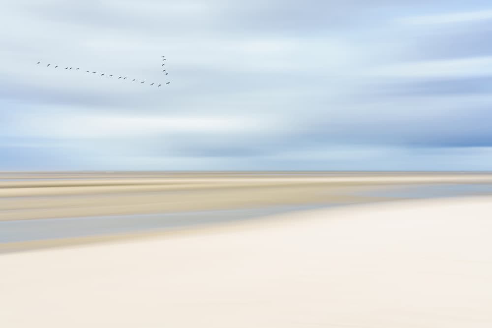Birds Over Serene Shore by Dieter Reichelt — canvas wall art