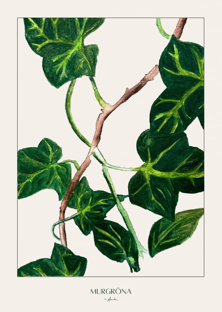 Green Ivy Botanical by Annika John — canvas wall art