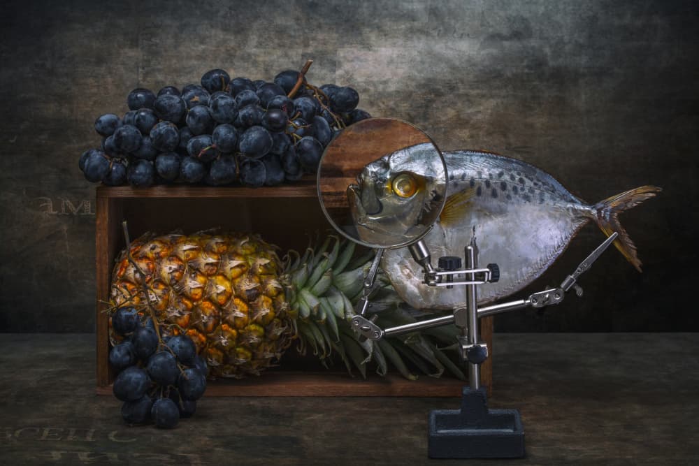 Magnified Fish Still Life by Brig Barkow — canvas wall art
