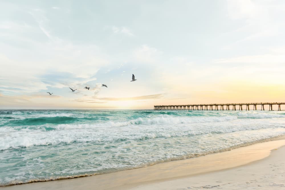 Birds At Pier by Kathrin Pienaar — canvas wall art