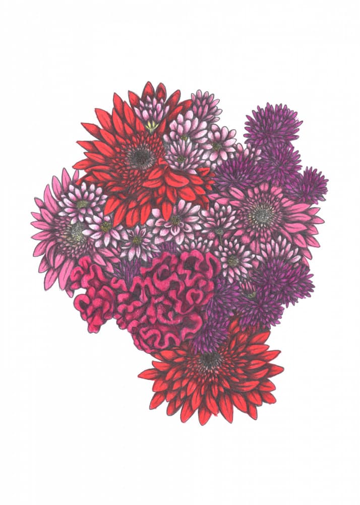 Vibrant Botanical Blooms by Cecilia Battaini — canvas wall art