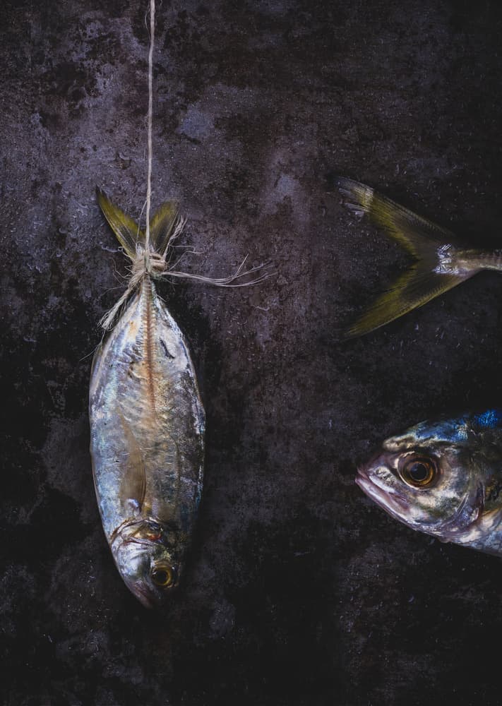 Dark Fish Still Life by Farid Kazamil — canvas wall art