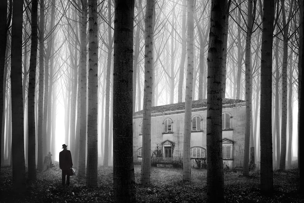 Man at Foggy Manor by Marco Bizziocchi — canvas wall art