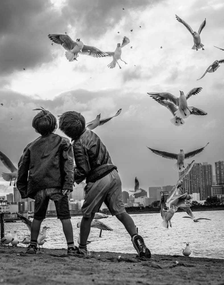 Boys Watching Seagulls by sirou.minami — canvas wall art