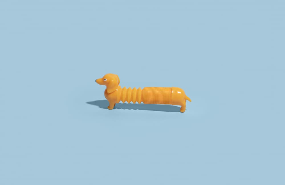 Stretching Dachshund Toy by Julia Ramiro — canvas wall art