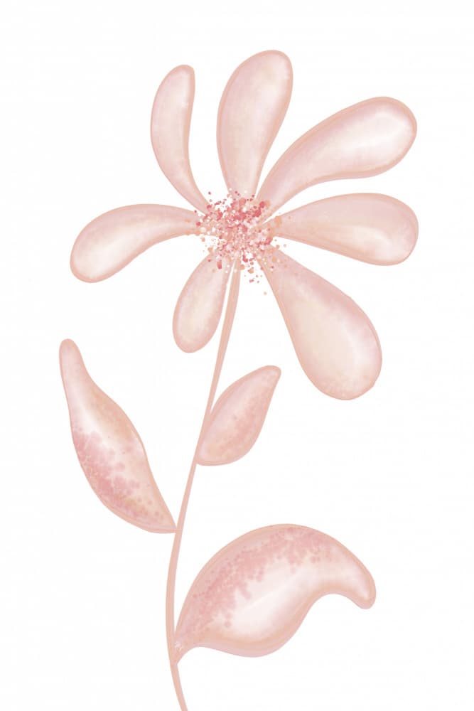 Abstract Pink Bloom by Martina — canvas wall art