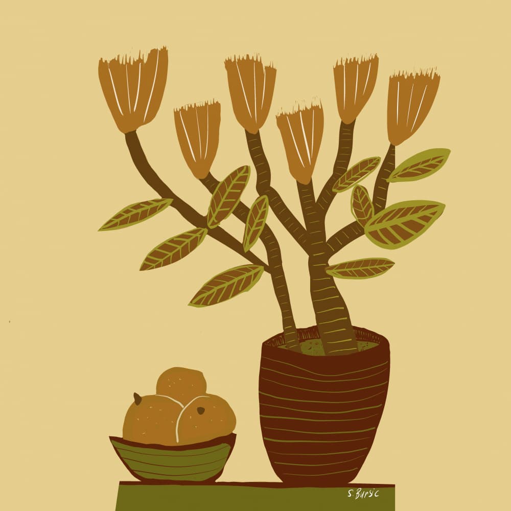 Earthy Botanical Still Life by Sharyn Bursic — canvas wall art