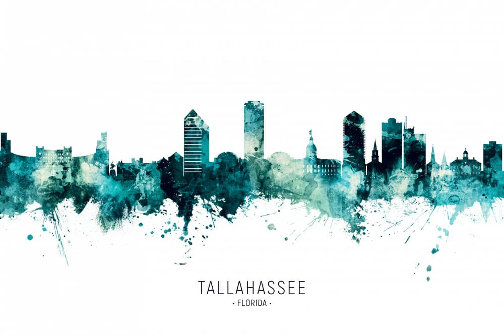 Tallahassee Florida Skyline by Michael Tompsett — canvas wall art
