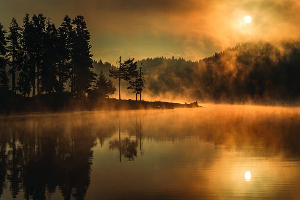 Golden Morning Mist by Alexander Alexandrov — canvas wall art