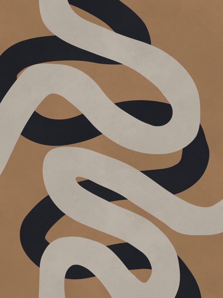 Intertwined Flowing Lines by Vitor Costa — canvas wall art