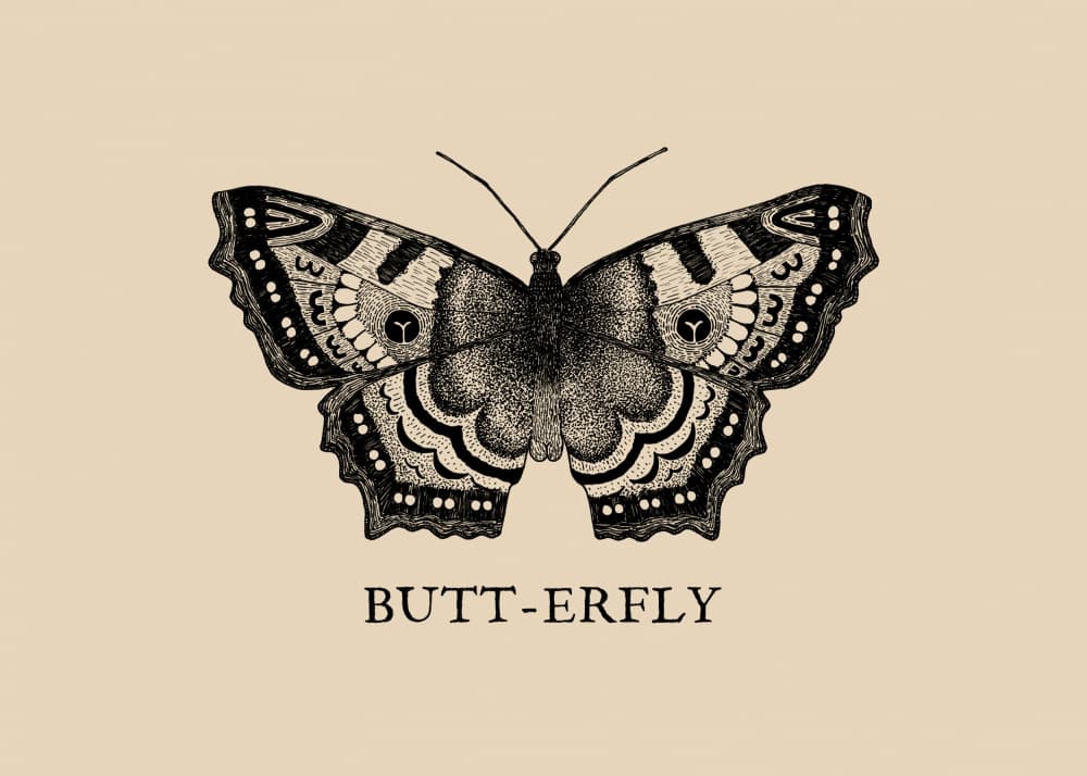 Witty Butt-erfly Drawing by Martina Scott — canvas wall art