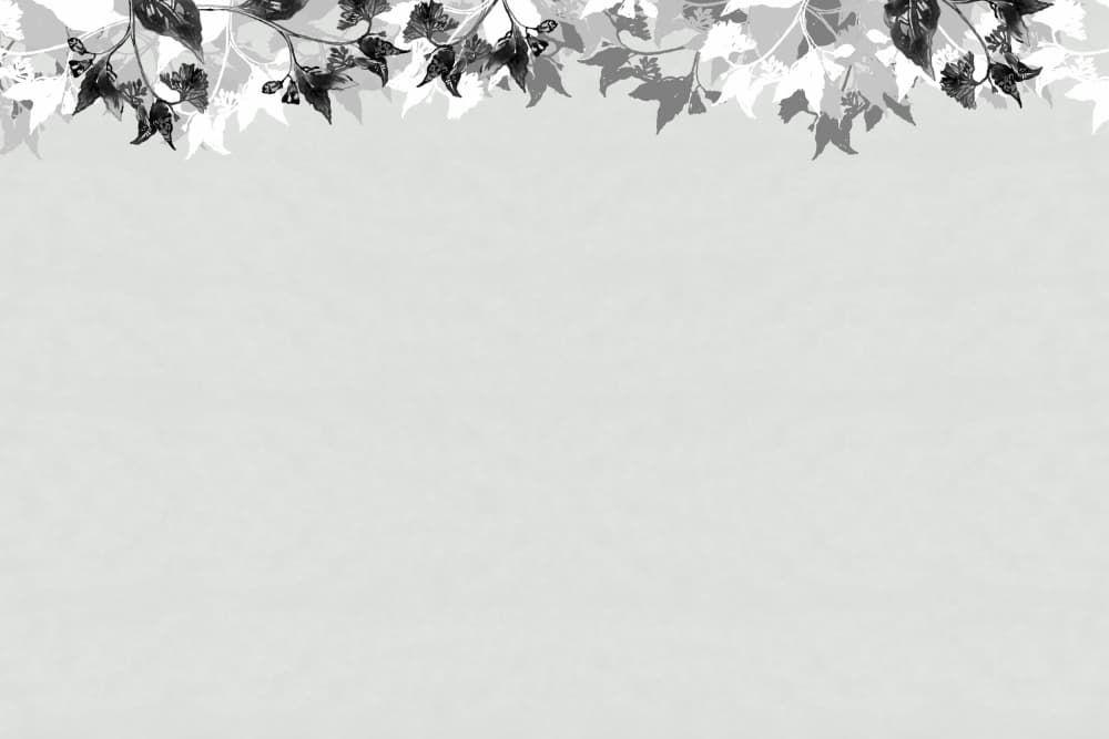 Monochrome Leaf Border by casa cartissi — canvas wall art