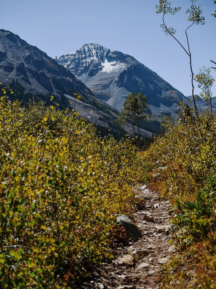 Golden Autumn Mountain Path by Del Mundo Imagery — canvas wall art