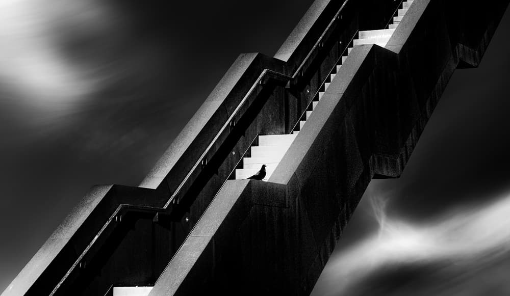 Pigeon on Modern Stairs by Marc Huybrighs — canvas wall art
