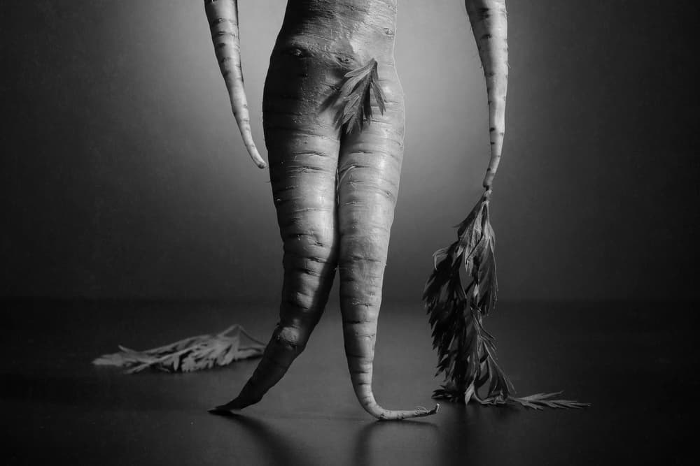 Naked Carrot Form by Victoria Glinka — canvas wall art