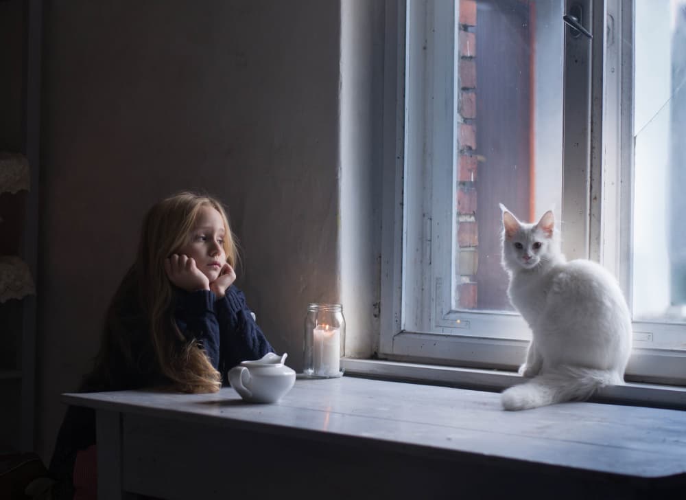 Pensive Girl And White Cat by Małgorzata Masarz — canvas wall art