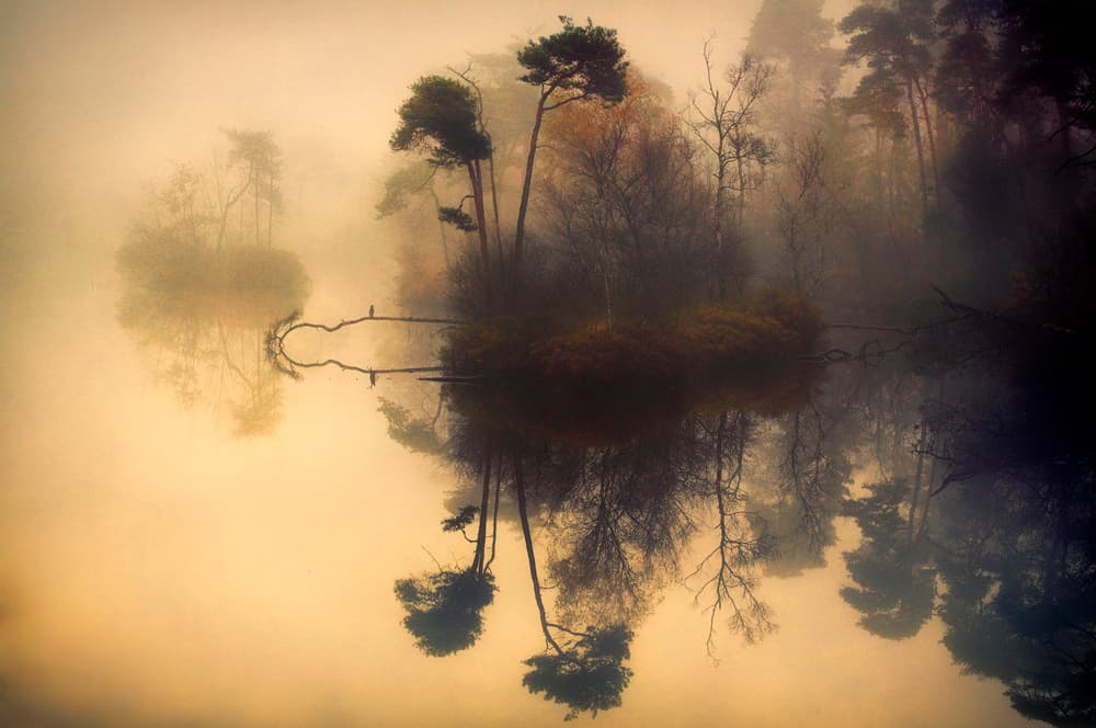 Misty Autumn Lake by Anton van Dongen — canvas wall art