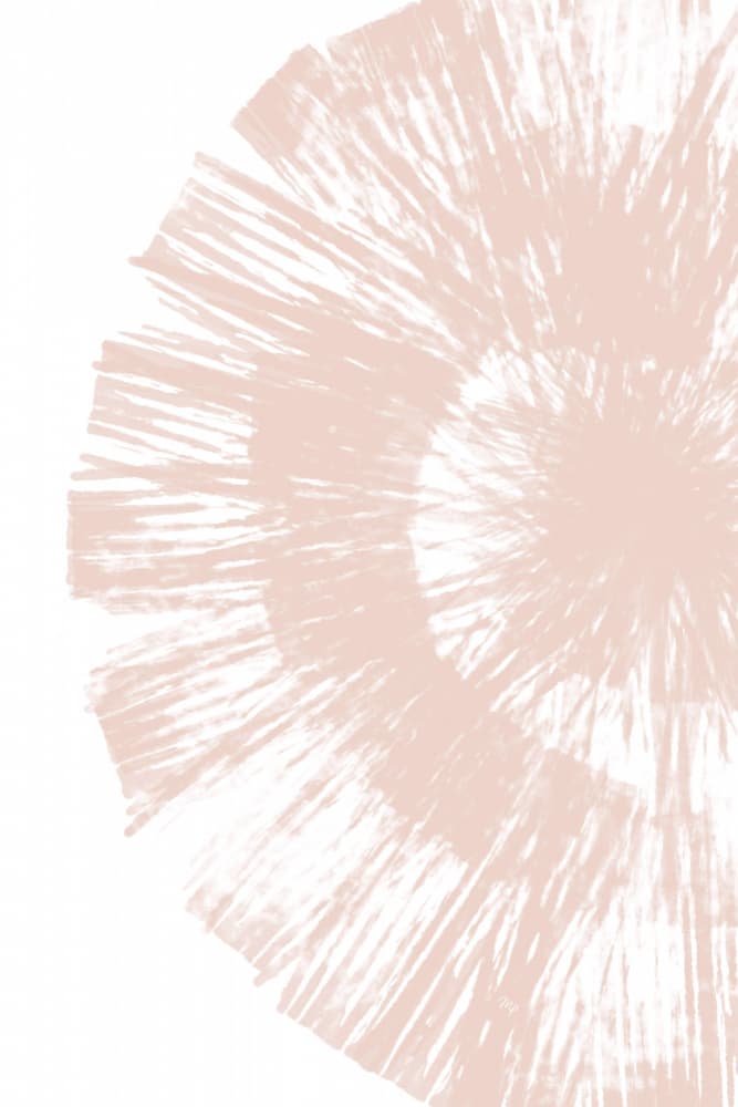 Soft Blush Radiance by Martina — canvas wall art