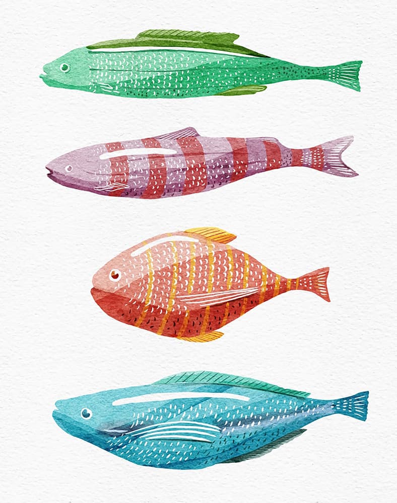 Four Colorful Fish by Katie O'Shea — canvas wall art