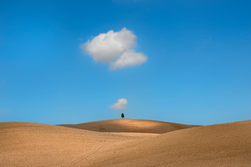 Golden Hills Lone Tree by Jure Kravanja — canvas wall art