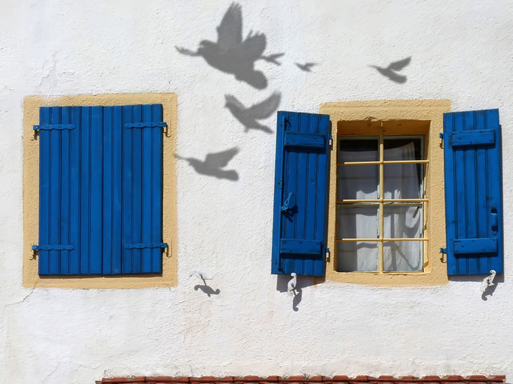 Birds Over Blue Shutters by Giorgio Pizzocaro — canvas wall art