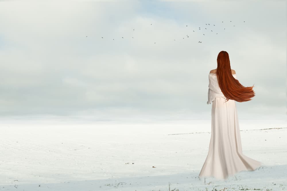 Winter Woman With Birds by Christine von Diepenbroek — canvas wall art
