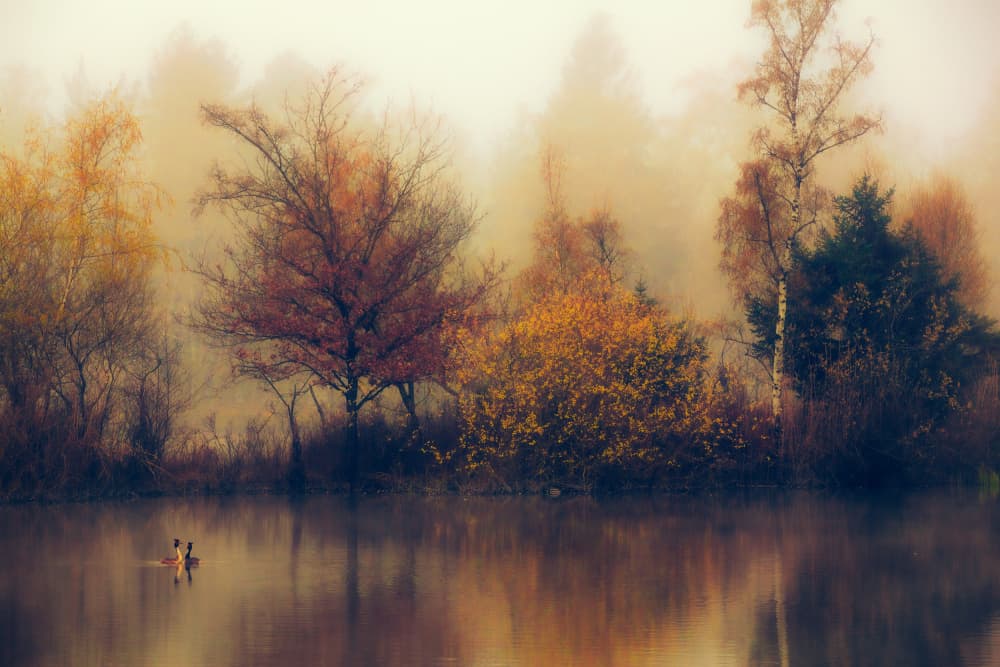 Misty Autumn Lake by Anton van Dongen — canvas wall art