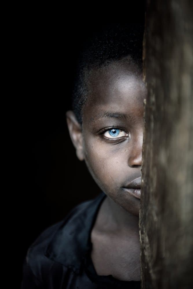 Soulful Blue Eyes by Trevor Cole — canvas wall art