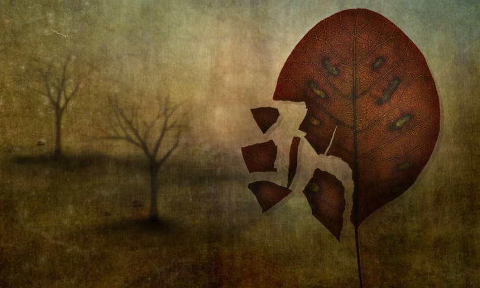 Broken Autumn Leaf by Lotte Andersen — canvas wall art