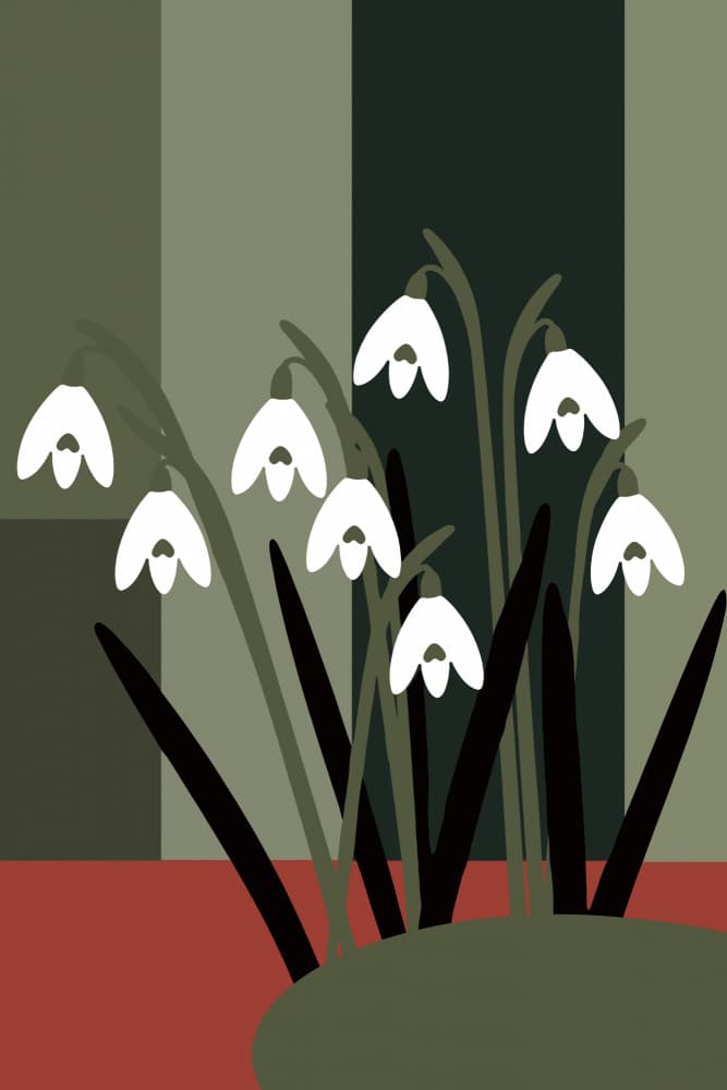 Early Spring Snowdrops by casa cartissi — canvas wall art