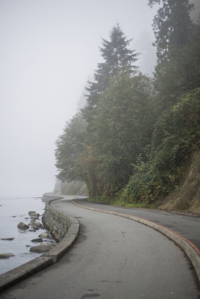 Misty Coastal Road by Lynann Colligan — canvas wall art