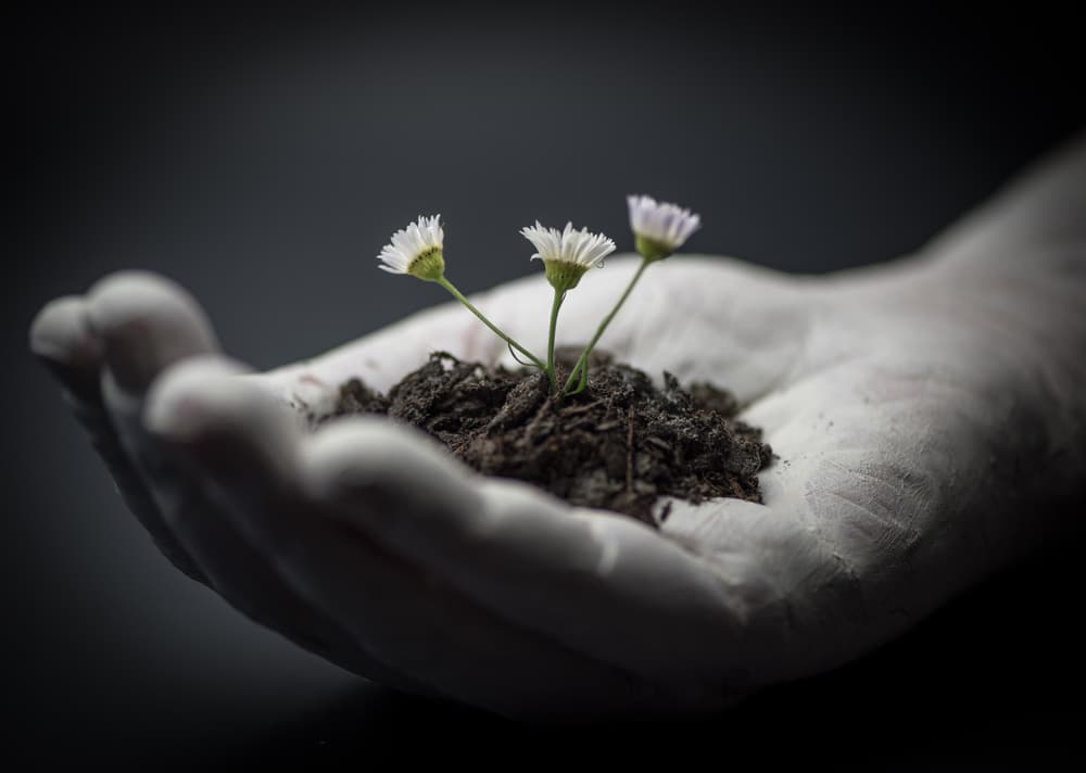 Delicate Flowers in Hand by Mike Melnotte — canvas wall art