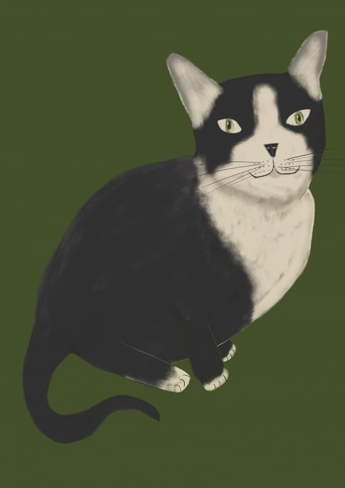 Green-Eyed Tuxedo Cat by Sharyn Bursic — canvas wall art