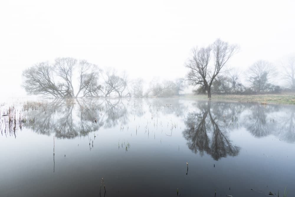 Misty Winter Reflections by Leszek Paradowski — canvas wall art