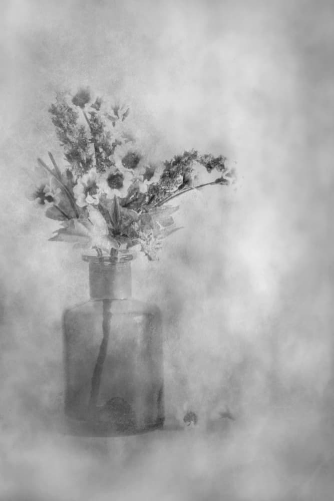 Dreamy Black and White Flowers by Cicek Kiral — canvas wall art